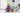 Home workout equipment including exercise ball, yoga blocks, and workout gloves for 2026 new year fitness goals