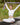 Trideer Yoga Strap
