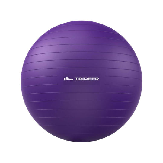 Violet Exercise Ball