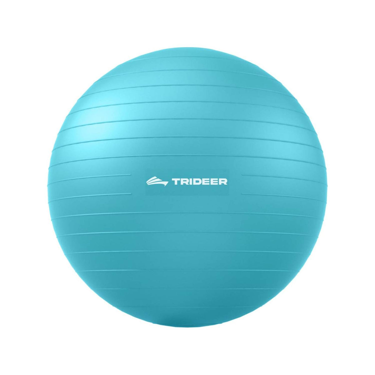 Turquoise Exercise Ball