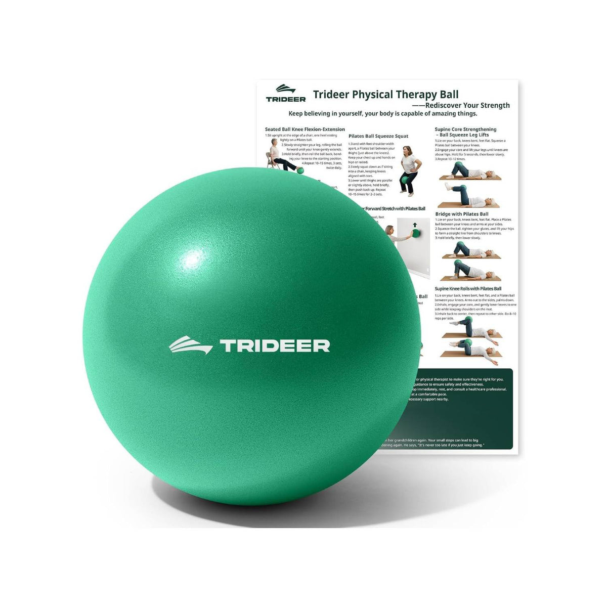 Physical Therapy Ball