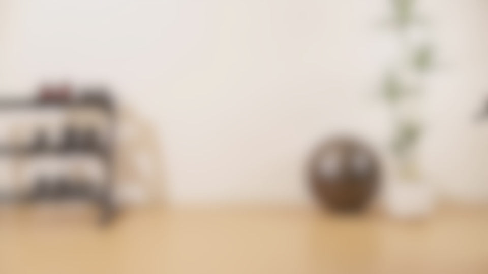 Ab Roller Double Wheel - Vinsguir Professional Core Equipment with Pad