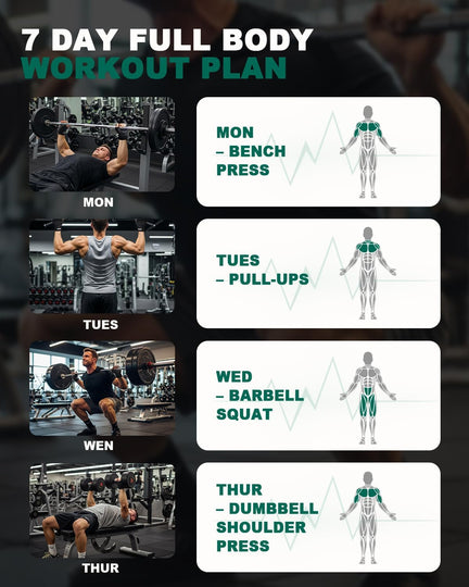Workout plan showing bench press, pull-ups, barbell squats and dumbbell shoulder press