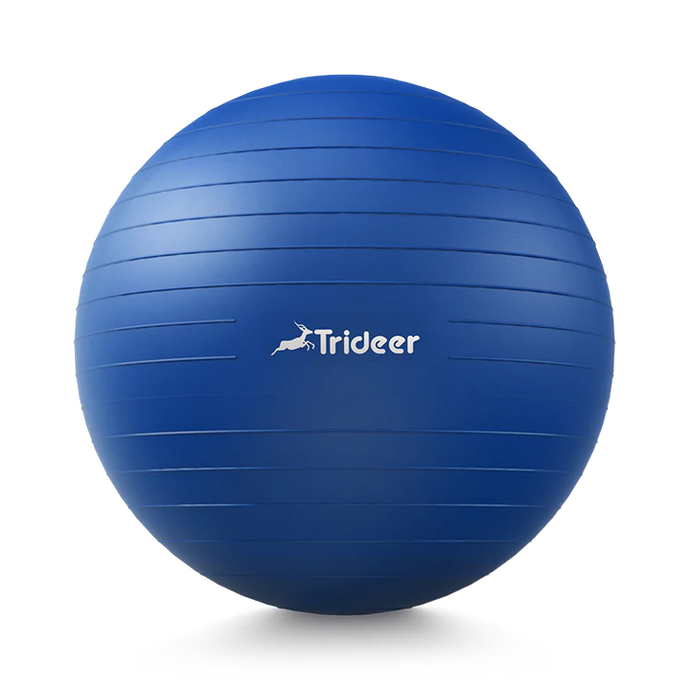 Trideer Extra Thick Yoga Exercise Ball