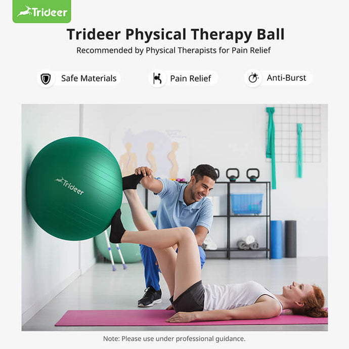 Trideer Physical Therapy Ball