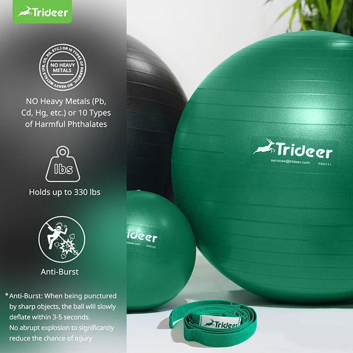 Trideer Physical Therapy Ball