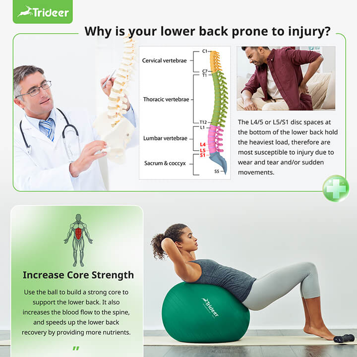 Back pain relief exercise using Trideer therapy ball for spine health