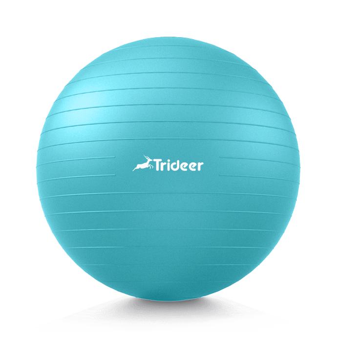 Trideer Exercise Ball