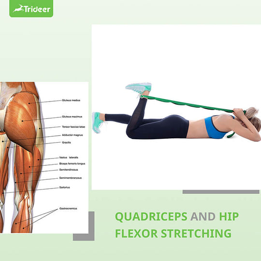 10-loop stretching strap showing numbered loops for progressive stretching